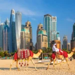 dubai visit visa charges