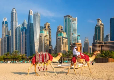 dubai visit visa charges