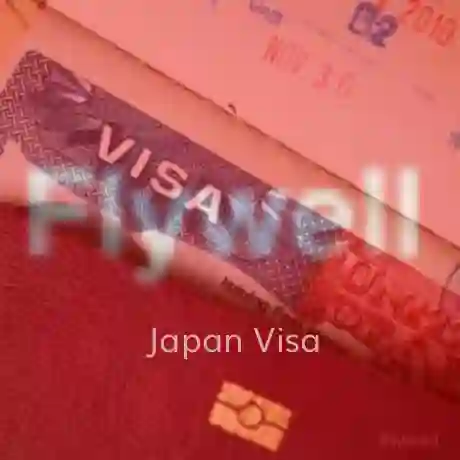 vfs japan visa tracking