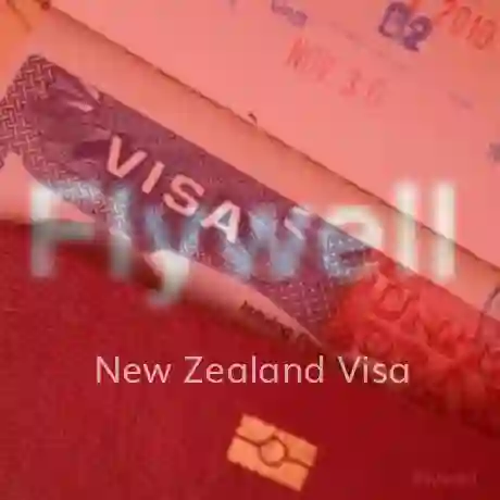 new zealand visa india