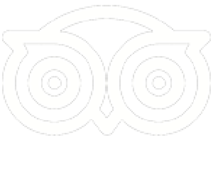 TripAdvisor Logo