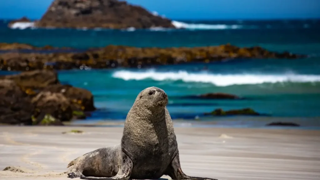 famous places of new zealand