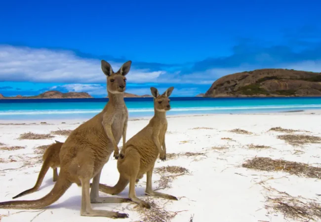discover australia