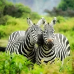 national parks around the world