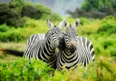national parks around the world