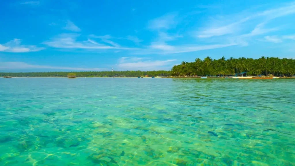 kochi to lakshadweep cruise packages