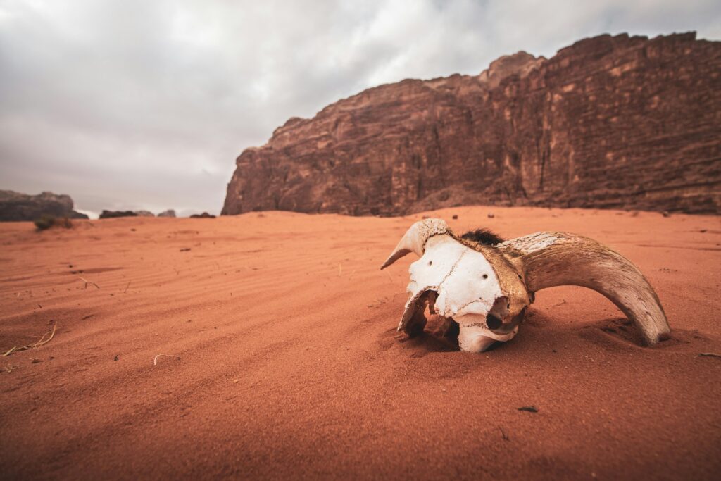 national parks around the world