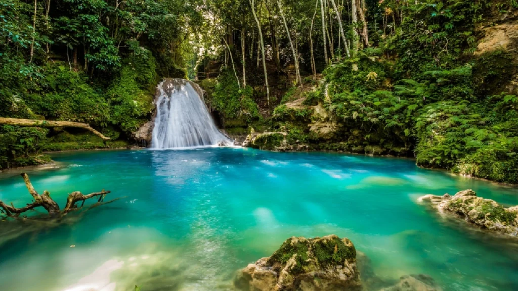 countries to visit without visa for indian