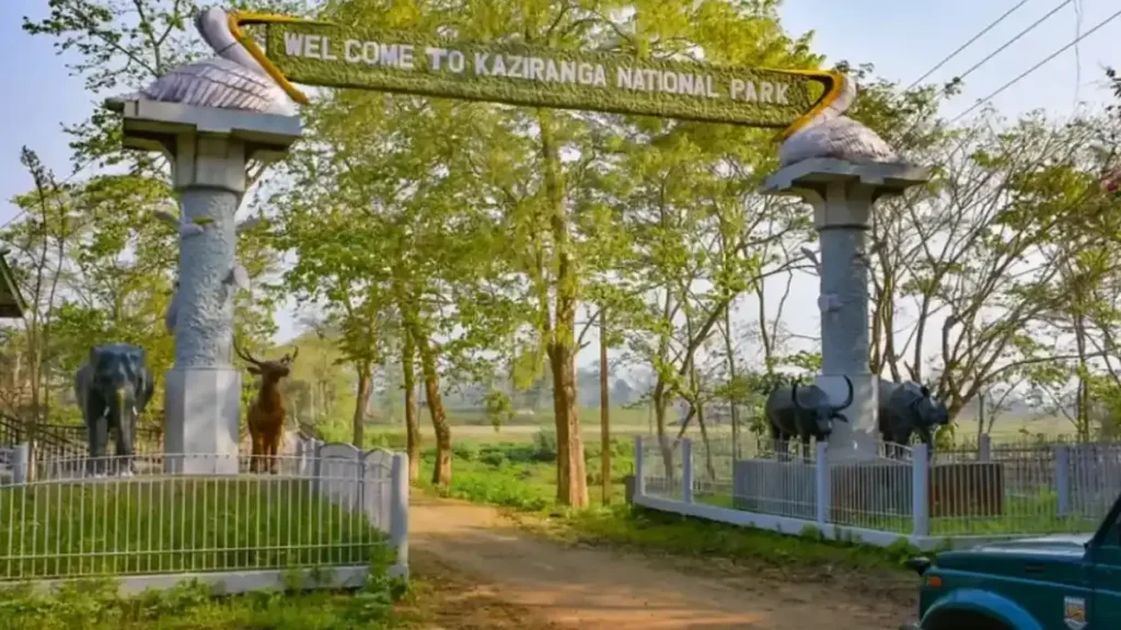 भारत का काजीरंगा राष्ट्रीय उद्यान: एक यादगार वन्यजीव अनुभव
