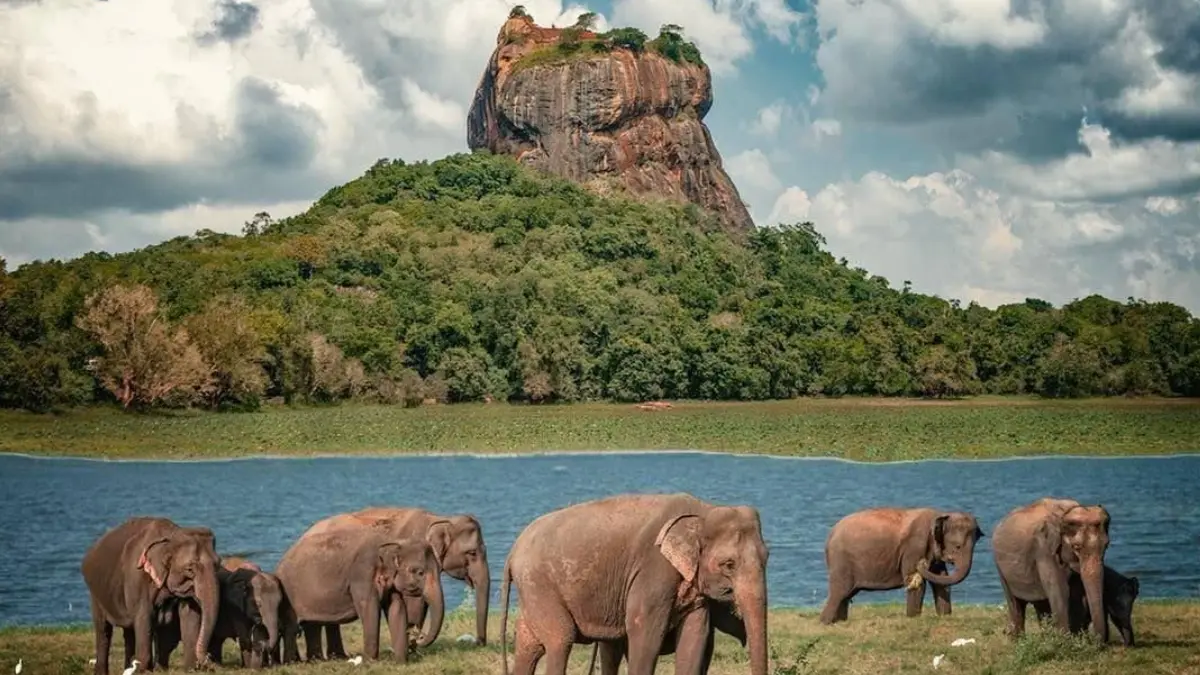 sri lanka august