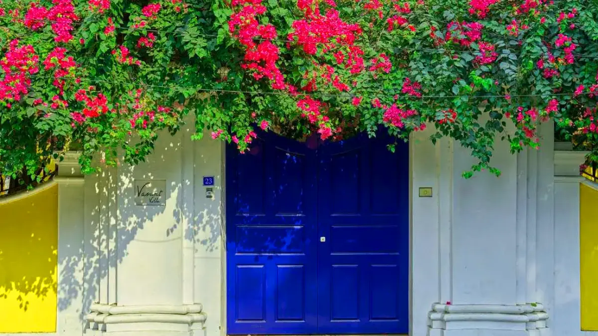 tourist places in pondicherry to visit