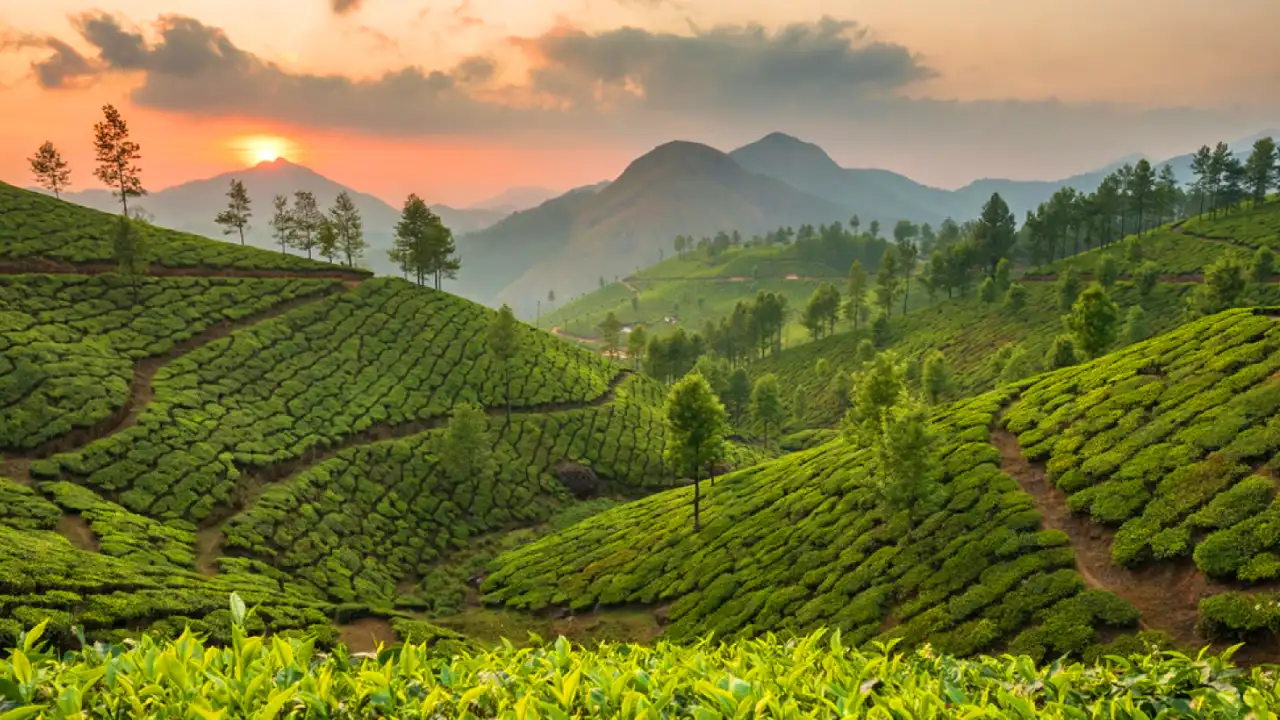 kerala tour packages from mumbai