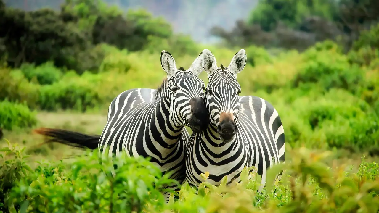 national parks around the world