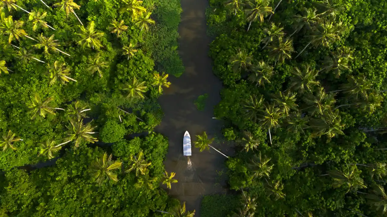 kerala best time to visit