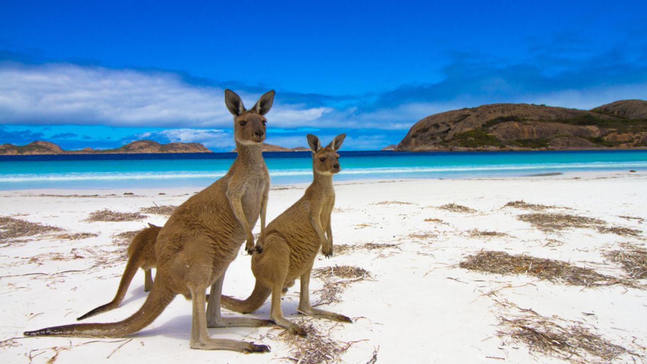 Australia Trip Packages from India