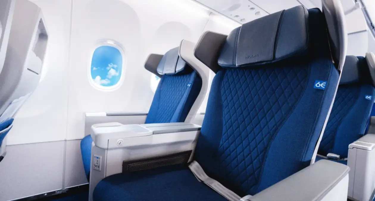 indigo web check in