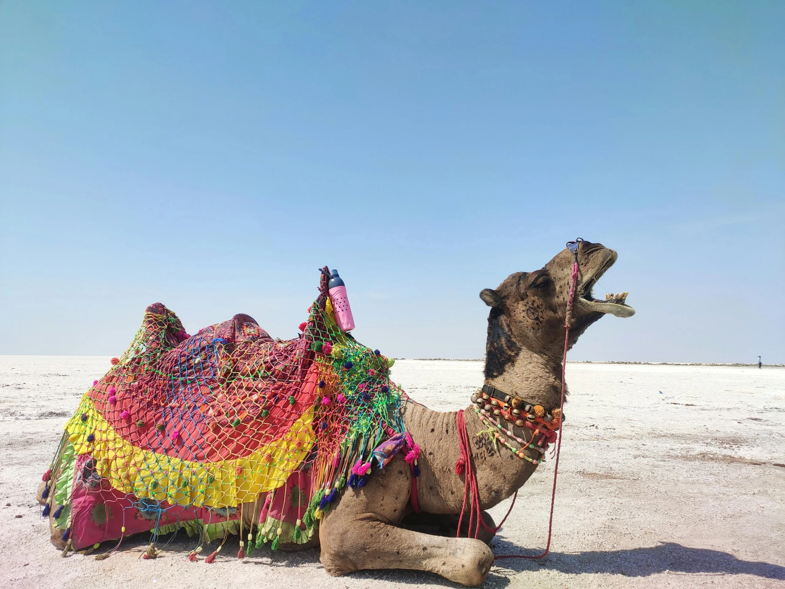 Rann Utsav in Kutch